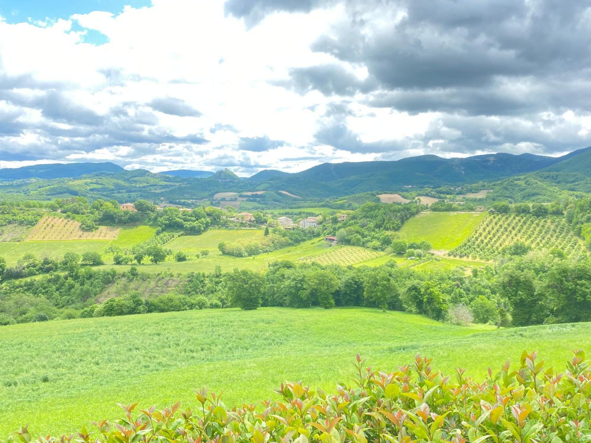 Villa Colticciola Agriturismo Marche カーリ エクステリア 写真